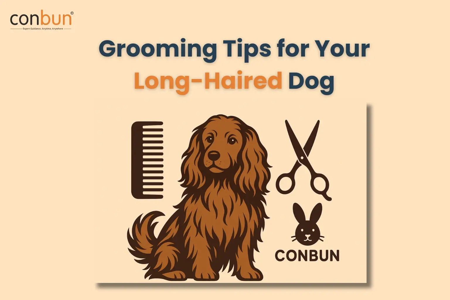 Grooming Tips for Your Long-Haired Dog: Expert Grooming & Pet Services by Conbun